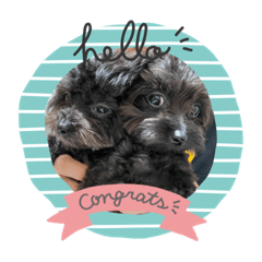 nanami_20210816203825