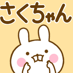 Rabbit Usahina sakuchan
