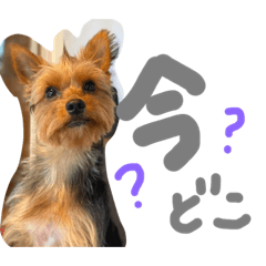 mizuki_20210816211138