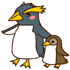 Rockhopper penguin parent and child