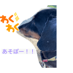 MIZUKI_20210816213618