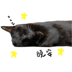 RuRu&咪咪的一些日常