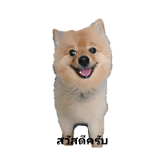 Cocoa_20210816222956