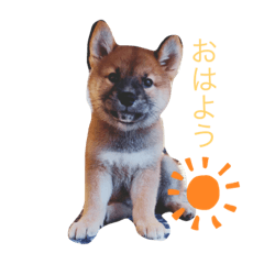 miki_20210817141759