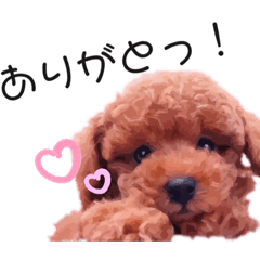 Monmon_20210817153849