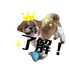 hanamama_20210817143731