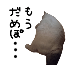 Asuka_20210817145655