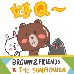 BROWN & FRIENDS X The sunflower