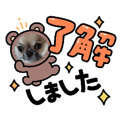 Raika_2021081719583