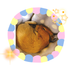 mimi_20210817211914