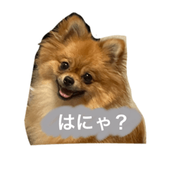 arisa_20210818085312