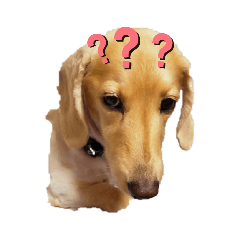 NATSUMI_20210817181230