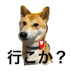 nanoshiba