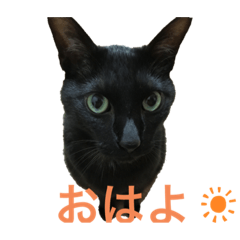 tomomi_20210817211203