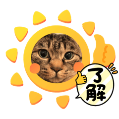 愛猫「瑛斗のスタンプ」