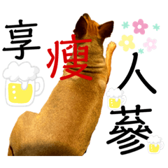 最強米克斯