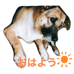 miki_20210818120046