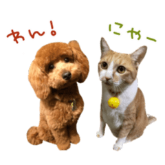 Saya_20210817222420