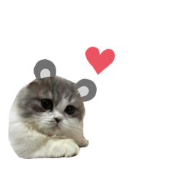 mizuki_20210814140953