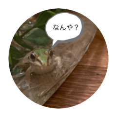 Kero_20210818000105