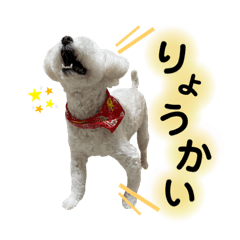 risa_20210818011618