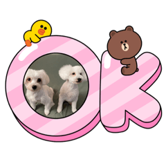 tono_20210818082908