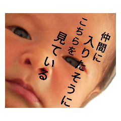 a-1-