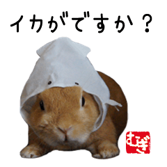 Bunny_mugi