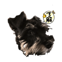 Emily_20210818161859