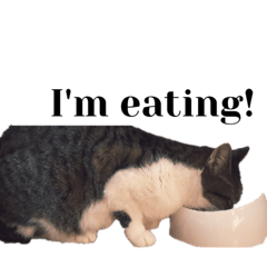 Emily_20210818170144