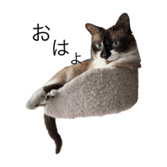 arisa_20210818185804