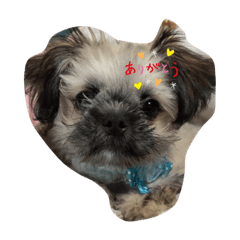 dgdpdpdpdpdgdgdgaghapmpagagapap