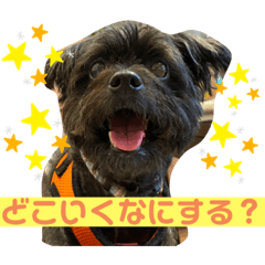 Riho_20210817230355