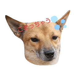 tomomi_20210818153545