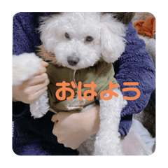 Hana_20210818153158