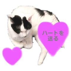 aoi_20210818143553