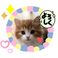 momoko_20210817233325