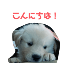 rei_20210818215018