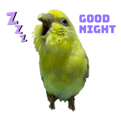 napi_20210818173401