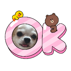 yukari_20210818222126