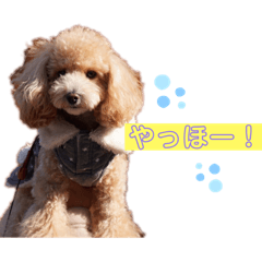 Rina_20210818223312