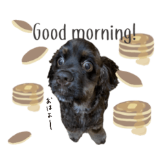 Cookie__coton sticker