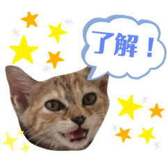 nanami_20210818235502