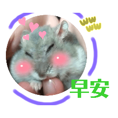 Rice Ball Lifetimelove 3