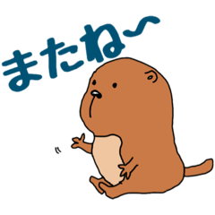 プレリのトコたん