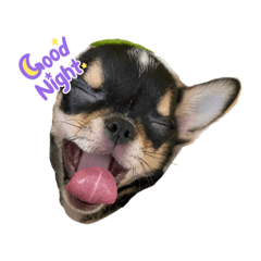 yukari_20210819092302