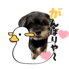 moecha_20210818205335