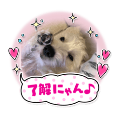 aoi_20210818210554