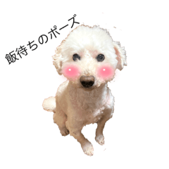 Satoshi_20210818214837