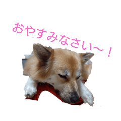 s.s_20210818215251